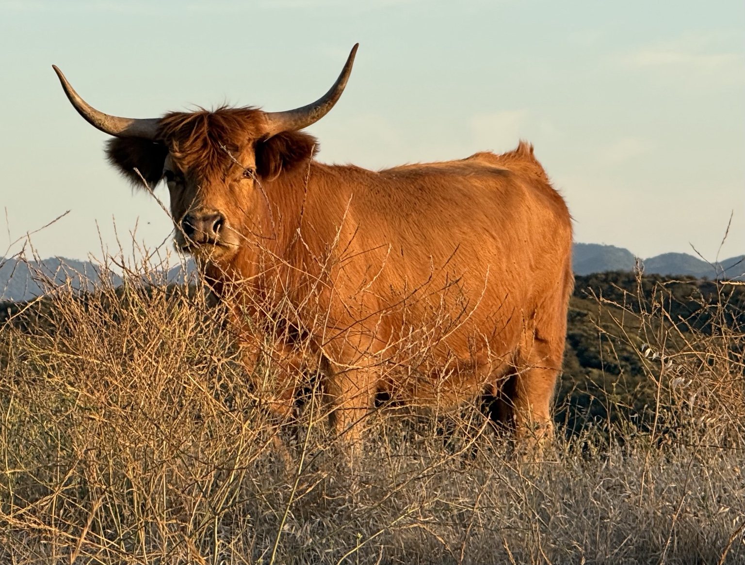Ranch life in Creston, California